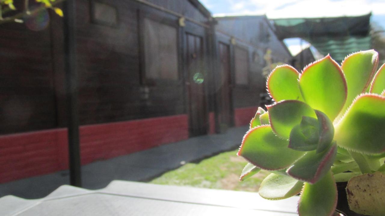 Hostal Del Suri Cafayate Exterior foto